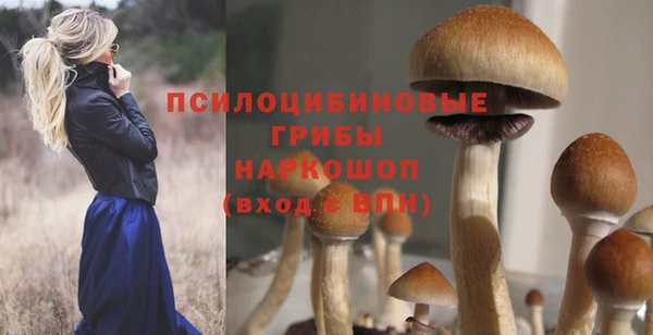 дживик Балабаново