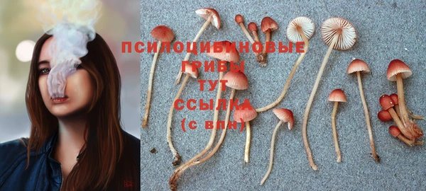 экстази Балахна